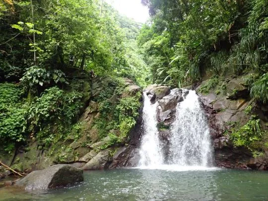 Cascade de la rivière Didier en Martinique