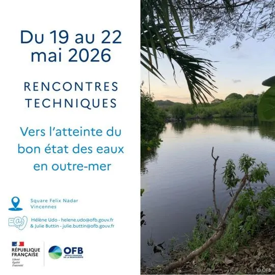 Image de décoration (titre évenement, dates et logo)