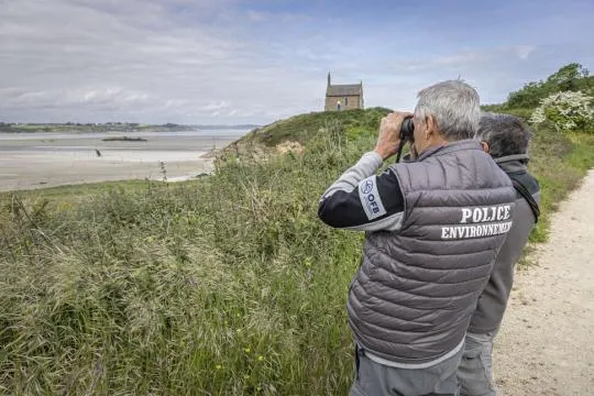 Agent de l'OFB en train d'observer à la jumelle dans le cadre de la campagne Airpro 2025 en Bretagne