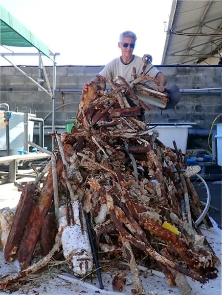 Pile de déchets métalliques récoltés lors des prospections à La Réunion
