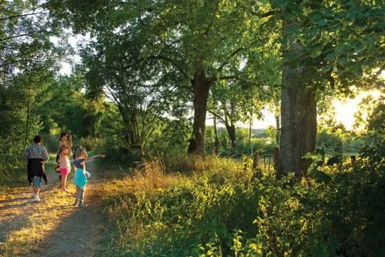Photo d'illustration d'un groupe pendant une sortie dans le Parc national de forêts