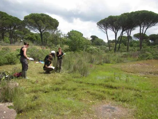 Opération d'évaluation de l’état de conservation de mares temporaires méditerranéennes