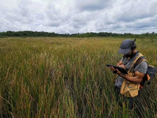 Un technicien est en train d'identifier la présence d'une zone humide