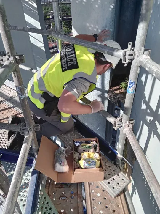 Un policier de l'environnement en train de rapatrier des oeufs de faucon crécerelle en sécurité