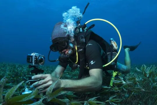 Suivi scientifique. Crédit photo : Hendrik Sauvignet / Office français de la biodiversité