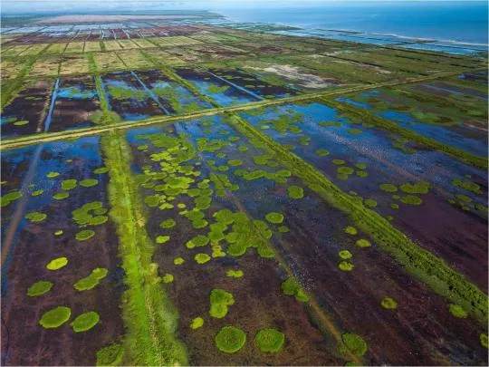 Vue aérienne du site naturel Pointe Isère-Savane Sarcelle