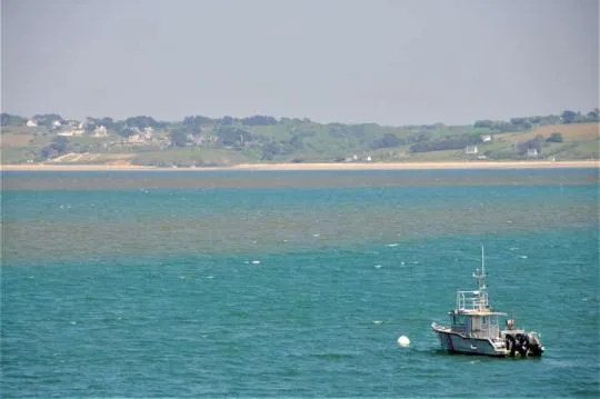 La mer prend une couleur brune à cause de la prolifération de phytoplanctons en baie de Douarnenez