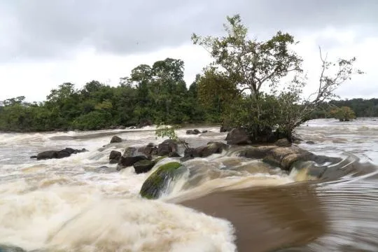 Photo du fleuve Maroni en Guyane