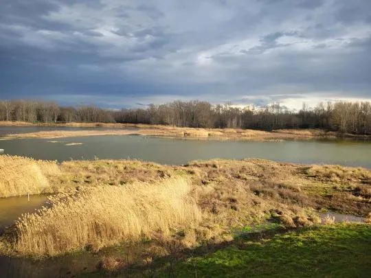 Crédit photo : Diane Corbin / FNE Loire