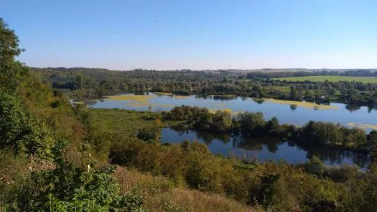 Crédit photo : Conservatoire d'espaces naturels des Hauts-de-France