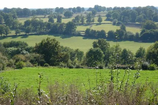 Crédit photo : Martine Giban / Indre Nature