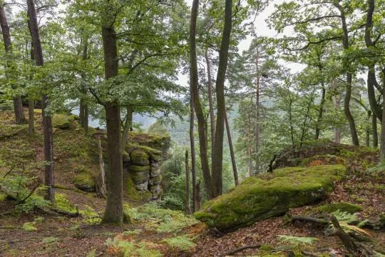 Credit : Philippe Massit / OFB