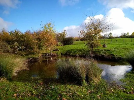 Crédit photo : Elise Bitault / Communauté de communes Les Bertranges