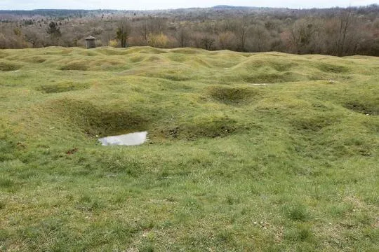 Crédit photo : Harald Wenzel-Orf / imageBROKER / Biosphoto