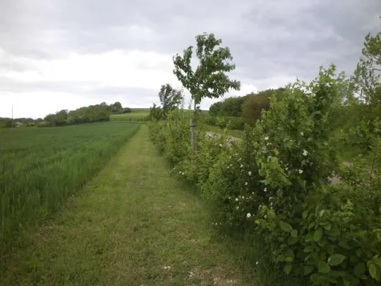 Crédit photo : Caroline Le Goff / OFB
