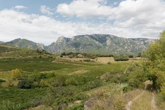 Parc naturel régional du Haut-Languedoc. Crédit photo : Parc naturel régional du Haut-Languedoc 