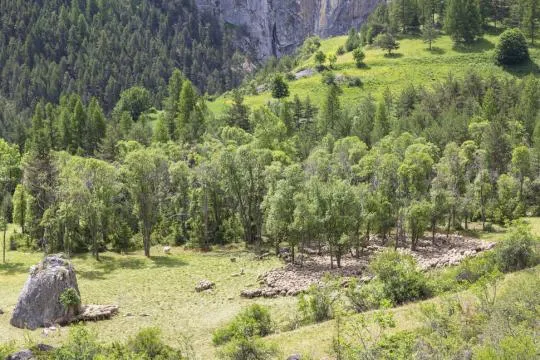 Saint-Paul-sur-Ubaye. Crédit photo : Philippe Massit / OFB