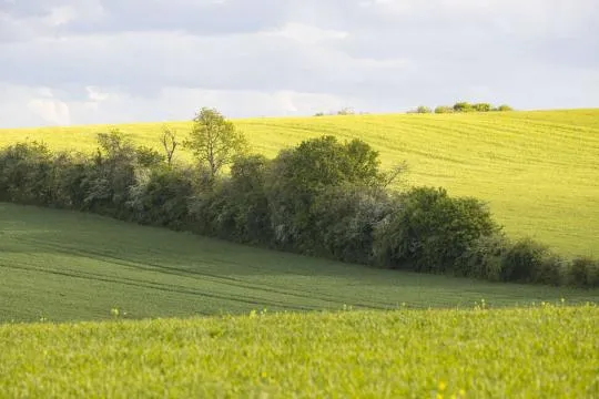 Crédit photo : Philippe Massit / OFB