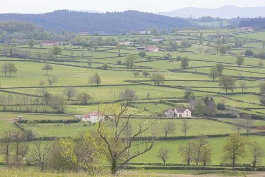 Crédit photo : Philippe Massit / OFB