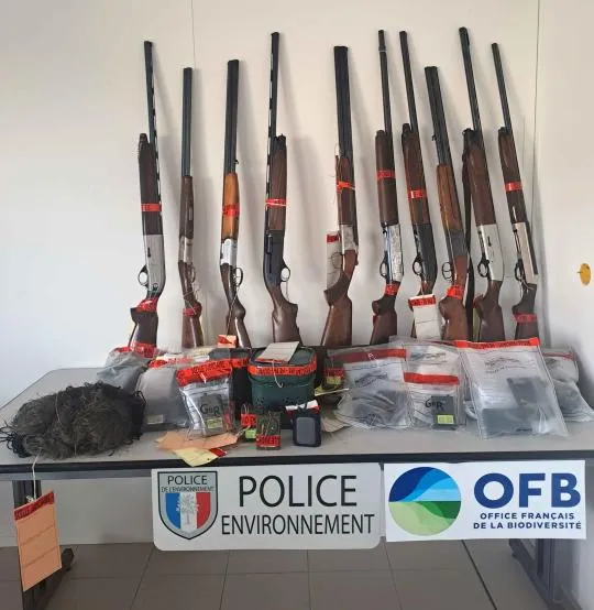 20 instruments prohibés, 12 fusils et une paire de filets de pante à alouettes ont été saisis